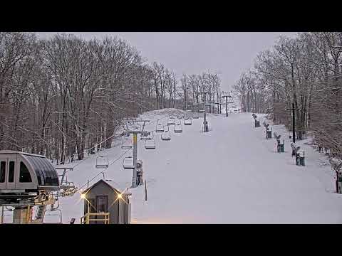 cadillac live cam michigan