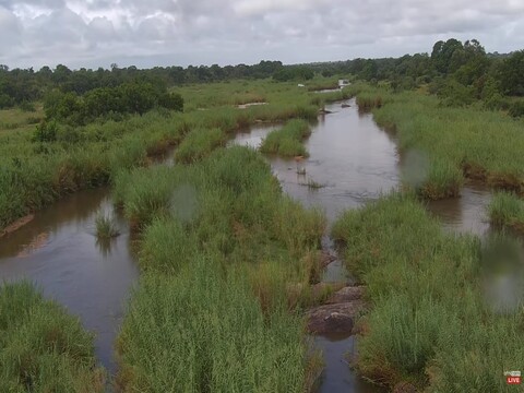 Kruger Shalati Live Webcam, South Africa