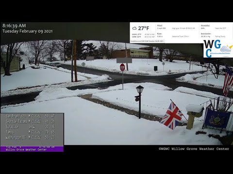 willow grove live cam pennsylvania