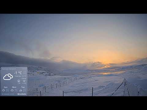 narsaq webcam greenland