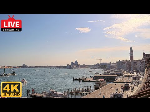 st. mark's basin live cam italy