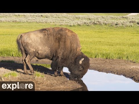 Grasslands National Park webcam, Saskatchewan, Canada