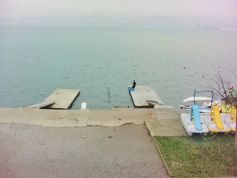 Koper webcam, Slovenia