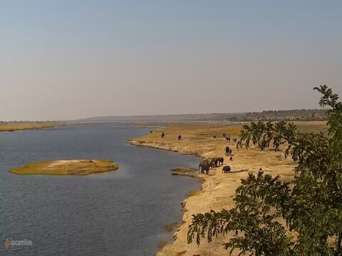 chobe national park botswana