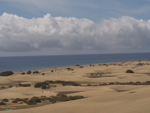 el oasis las palmas spain